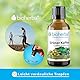 Grüner Kaffee Tropfen, Tinktur 50 ml – Auszug aus Coffea arabica L., ergänzt mit Vitamin B6, Vegan von BIOHERBA PZN 17186687 Coffea arabica L., ergänzt Coffee Grüner Kaffee Tropfen