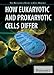 How Eukaryotic and Prokaryotic Cells Differ (Britannica Guide to Cell Biology, 6)