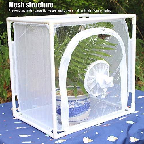 Gabbia Per Farfalle Pieghevole - Habitat Insetti 20x20x20 Cm Rete Trasparente