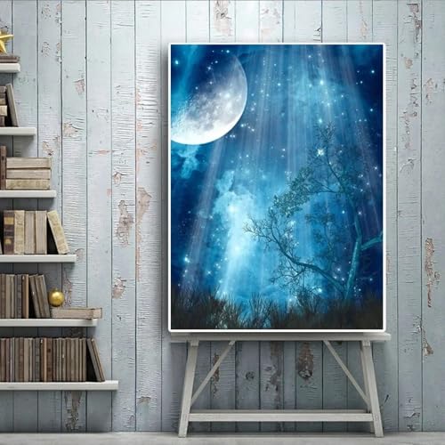 Impression HD paysage fantastique lunaire pour une chambre zen