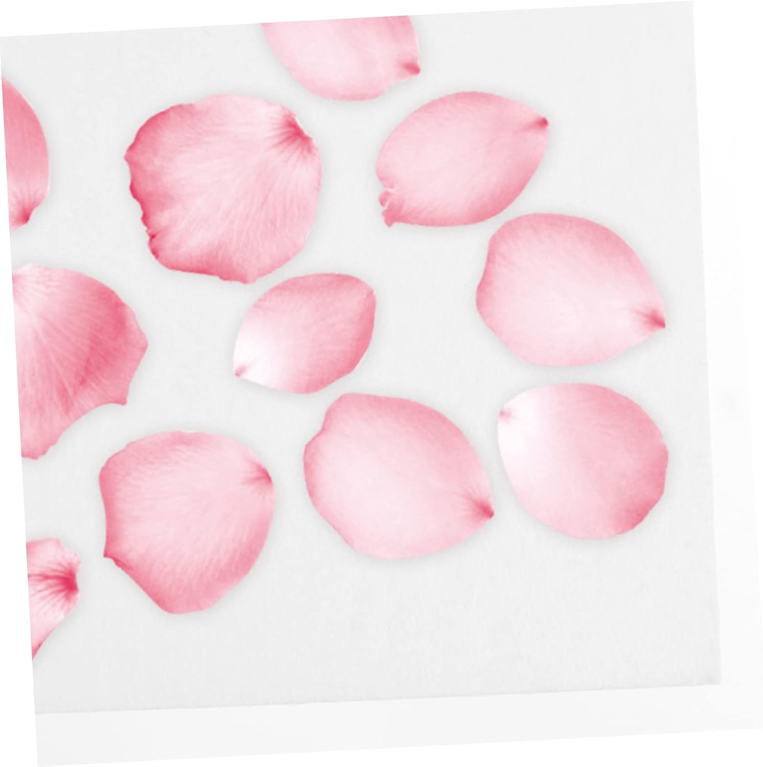 HONMEET 6pcs Flower Press Blotter Sheets Reusable Absorbent