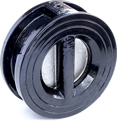 4 Inch Wafer Check Valve Double Wing