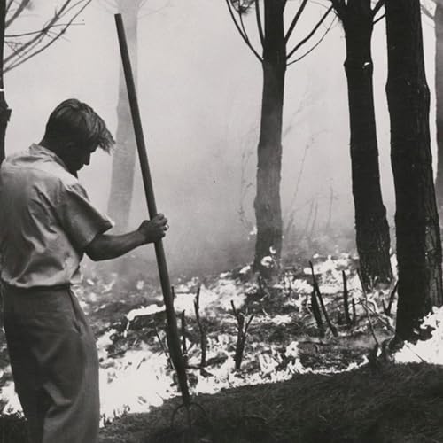 Mapping colonial bushfires through historical newspapers &ndash; Fiannuala Morgan