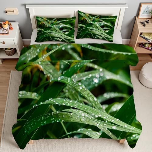 Piumino Matrimoniale Aloe Vera Trapunte Gocce D'Acqua Piumone Imbottito Resistente Lavabile, Super Morbida Trapunta, piumini 220x240 cm in Microfibra Reversibile e 2 Federa 50x80 cmT2681