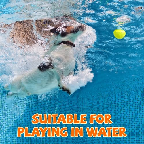 Susu  Wuwu Durable Dog Chew Balls for Aggressive Chewers  Interactive Toy for Dental Health Benefits  Indestructible Dog Tennis Balls 4 Balls 25inch4pack  Cucciolini Doodles Susu  wuwu durable dog chew balls for aggressive chewers  interactive toy for dental health benefits  indestructible dog tennis balls 4 balls 2 5inch 4pack   cucciolini doodles