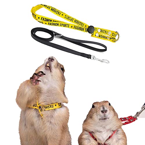 Sports Style Adjustable Harness and Leash Set for Squirrels Guinea Pigs