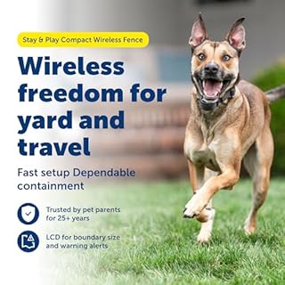 PetSafe Stay & Play Compact Wireless Fence, LCD Screen to Adjust The Circular Boundary, Secure up to a 3,000 Square Metre Area, Use for All Your Pets, Portable System