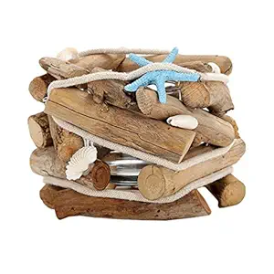 HEALLILY Wood Hydroponic Planter Wood Air Plant Holder Shell Sea Star Ocean Style for Home Office Desktop Glass Water Planting Container