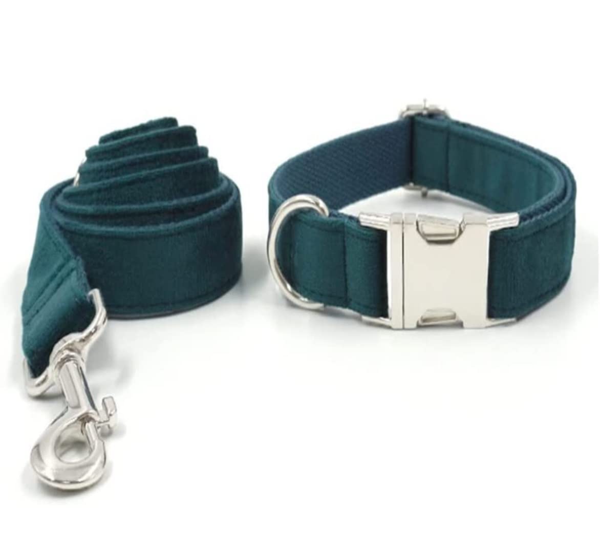 Correa Perro Collar Ajustable para Mascotas con Correa para Juego de Collar y Correa para Perros Correa Perro Suave(37-60cm)