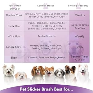 Dog-Slicker-Brush-for-Medium-or-Long-Haired-Dogs-Long-Pin-Slicker-Brush-for-Removes-Loose-Hair-Tangles-and-Knots-Best-Grooming-Brush-forl-Small-Animals-Large-Free-Pet-Comb-Purple - Cucciolini Doodles   Dog-Slicker-Brush-for-Medium-or-Long-Haired-Dogs-Long-Pin-Slicker-Brush-for-Removes-Loose-Hair-Tangles-and-Knots-Best-Grooming-Brush-forl-Small-Animals-Large-Free-Pet-Comb-Purple