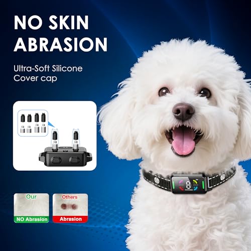 Training Tips Using Bark Collar