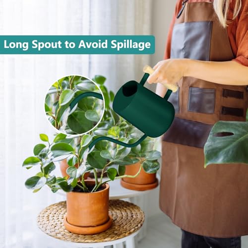 Image of Watering Can Indoor Plants, 35oz Small Indoor Stainless Steel Metal Watering Can Modern Decorative Watering Pot with Long Spout for Indoor House Plant Bonsai Garden Flowers (Alpinegreen)