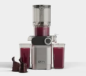 Anybear Cold Press Juicer, 200W Slow Masticating Juicer 4.3&#34; Large Feed Chute Fit Whole Fruits Vegetables | Upgraded Auger | Tritan Materials | BPA Free | Easy to Clean with Brush (Silver)
