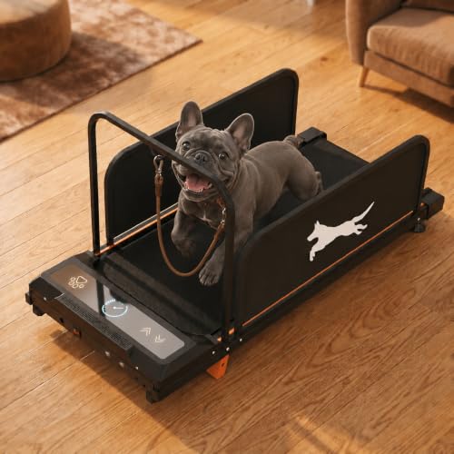 Small Dog Treadmill for Indoor Puppy Training