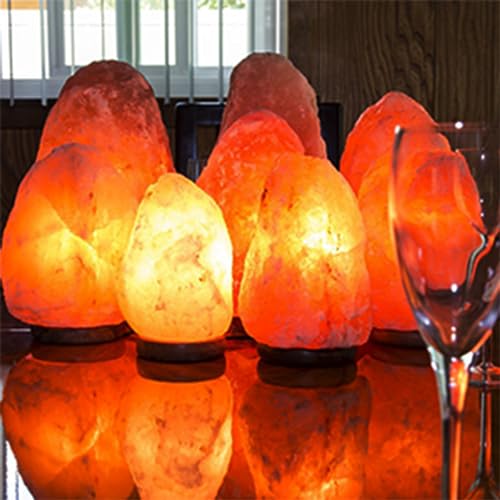 Image of Salt Lamp Cord,Salt Lamp Cord and Base Assembly & Clip for All Himalayan Crystal Salt Lamps -8 Free 15W E12 Base Bulbs for Salt Lamp (White-2P)