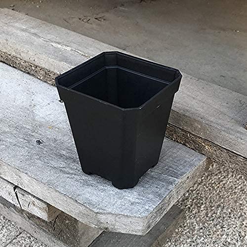 Set di 30 piattini quadrati per piante da 4/6/8/10/12 pollici per esterni e interni, piattini trasparenti per vasi da fiori per catturare acqua e gocciolamento (30, set misto