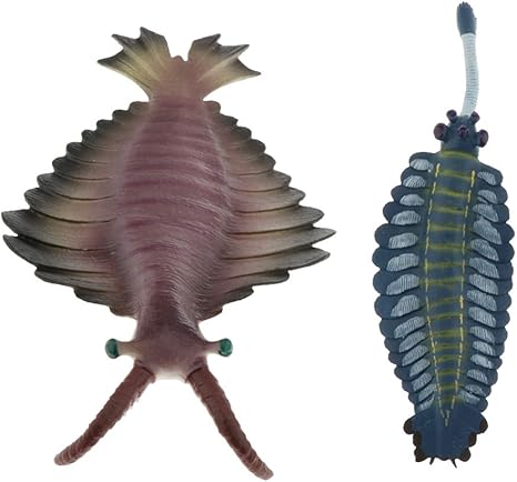 Amazon Fenteer 子供 海洋動物おもちゃ オパビニア アノマロカリス シミュレーションモデル 知育玩具 保育園教具 2種類入り プラモデル 通販