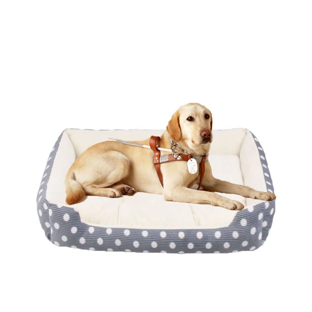 DAIHAN Dog Bed Cat Bed Pet Beds with Thickened Pp Cotton, Soft Cosy Plush Rectangle Mattress Mat for Dog, Cats, Kittens and Puppies,Beige,80x40x15cm