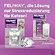 FELIWAY Help! 7 Tage Pheromon Verdampfer Starter-Set - Unterstützt in kurzzeitigen Stresssituationen für mehr Ausgeglichenheit, von Tierärzten empfohlen, klinisch getestet