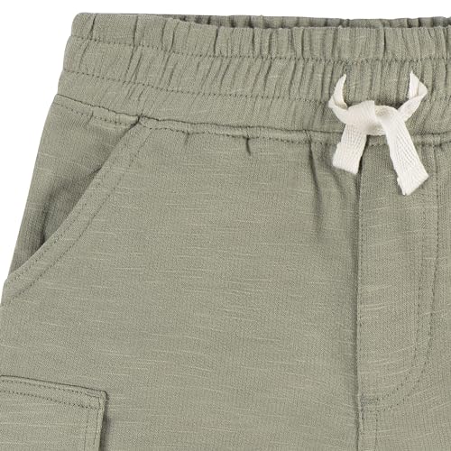 Image of Gerber Baby Boys' Toddler T-shirt and Short Set