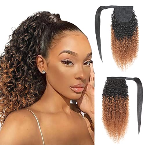 Feelgrace Curly Ponytail Extension Wrap Around Kinky Curly Ponytail Hairpiece Ombre Ponytail 1B 30 Brown Brazilian Human Hair 10A Grade 3C Curly Ponytail with Wrap Around 1 Comb 16 Inch