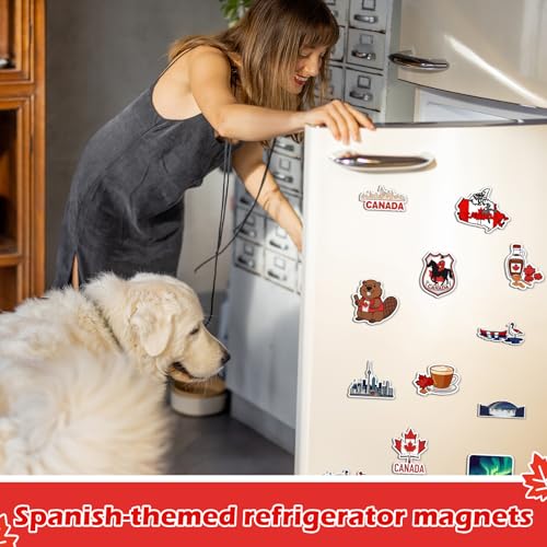 Set de 12 Imanes Decorativos Canadiense Yunsailing miniatura 4