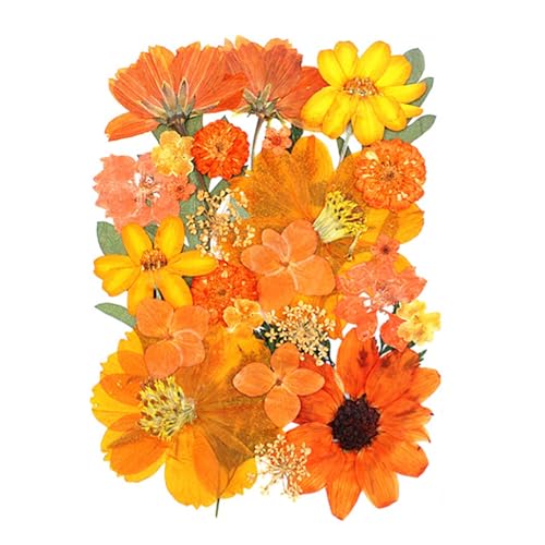 30 piezas de flores secas prensadas para manualidades miniatura 1