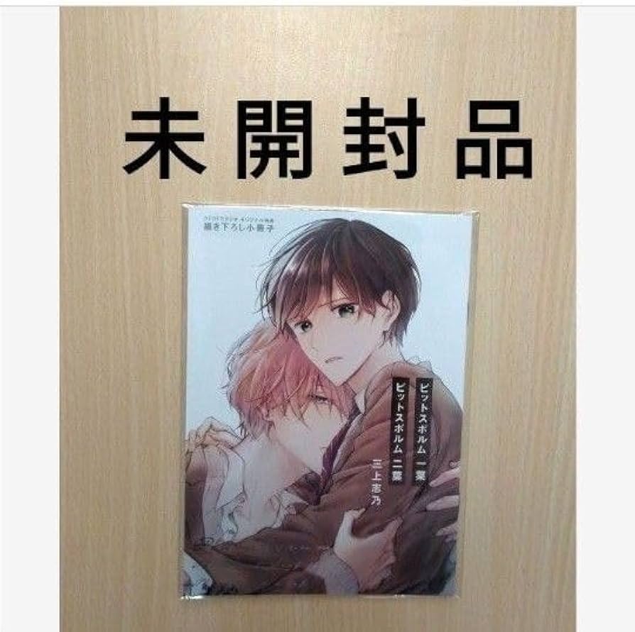 ピットスポルム 一葉・二葉 同時購入フェア とらのあな 4Pリーフレット ピットスポルム 一葉・二葉 同時購入フェア とらのあな 4Pリーフレット