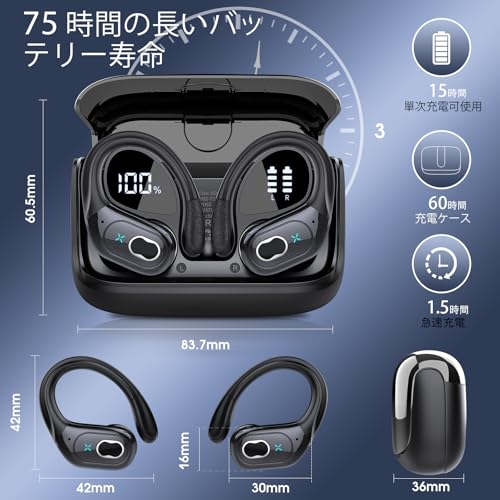 STECEi HD65 ワイヤレスイヤホン の商品画像 1