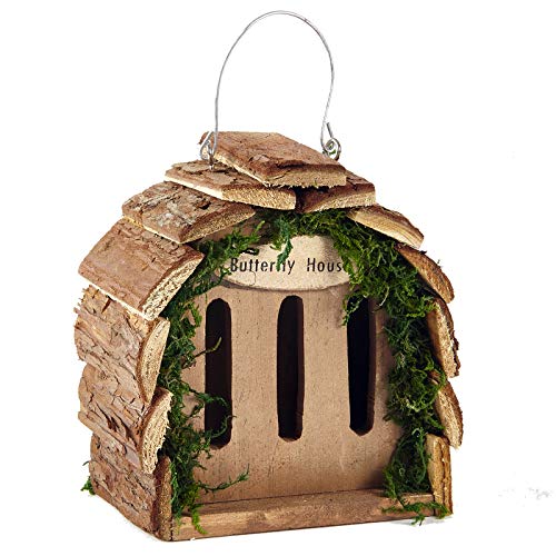 Pet Ting Wooden Butterfly Hotel House Natural Wood Hanging Garden Decoration