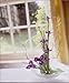 Ikebana: Japanese Flower Arranging for Today's Interiors