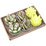 Embalaje exquisito: envoltura retráctil de seguridad empaquetada en caja de regalo de papel kraft con diseño de cactus, asegurando un soporte perfecto en la caja y un aspecto agradable.