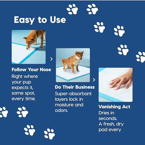 Image of IRIS USA Puppy Pads 100 Count, Dog Training Pads 22 inchx22 inch, Super Absorbent Leakproof Pee Pads for Dogs, Quick Dry Disposable Potty Training Supplies
