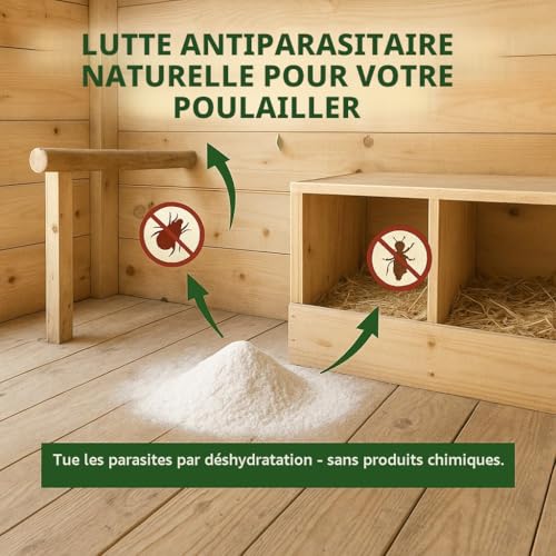 GiDeli Terre de diatomée pour poulets - Poudre 100 % pure non calcinée contre l'acarien rouge - 10 kg – vue 3