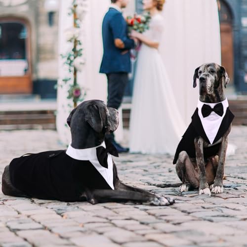 QBLEEV Dog Tuxedo for Medium Dogs, Dog Suit and Bandana Set, Dog Christmas Tuxedos, Formal Wedding Attire Shirt with Detachable Bow Ties Collar, Dog Outfit Pet Costumes for Birthday Party Cosplay M QBLEEV Dog Tuxedo for Medium Dogs, Dog Suit and Bandana Set, Dog Christmas Tuxedos, Formal Wedding Attire Shirt with Detachable Bow Ties Collar, Dog Outfit Pet Costumes for Birthday Party Cosplay M