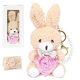 プリザーブドフラワー プリザードフラワー マのぬいぐるみとローズのギフト お祝い 記念日 誕生日 永遠の花 母の日 バレンタインデー ギフト (アプリコット)