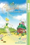 tinker fairies  Disney Manga: Fairies - Tinker Bell and the Great Fairy Rescue (English Edition)