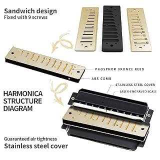 Harmonica diatonique en do adapté aux enfants, débutants, étudiants et adultes en auto-apprentissage – 10 trous, son clair, facile à jouer – cadeau pour les amateurs de musique（Bleu） – Image 3