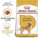 ROYAL CANIN Golden Retriever Adult | 3 kg | Trockennahrung für Hunde | Speziell für ausgewachsene und ältere Golden Retriever | Ab dem 15. Monat | Unterstützung von Haut und Fell