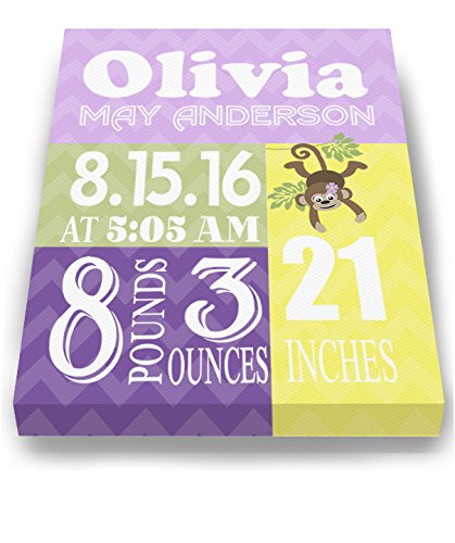 Personalized Stretched Canvas Birth Announcement Gift, Custom Baby Name, Date, Weight Stats, Newborn Nursery Monkey Wall Art Decor, Wooden Frame Construction, Ready to Hang 24X30