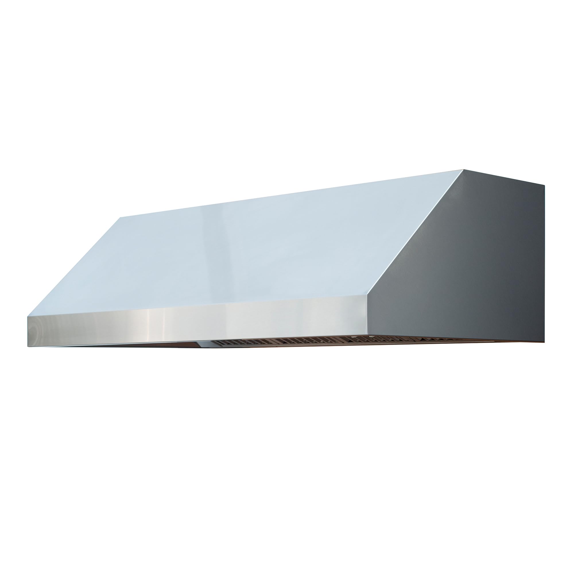 Amazon.com: TrueFlame 60-Inch Outdoor Rated, 2000 CFM Vent Hood w