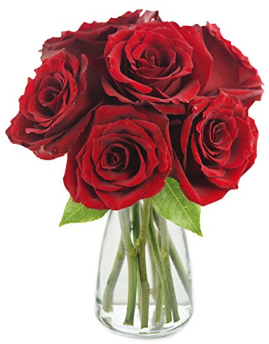 KaBloom-6 Red Rose Bouquet, Flowers for Valentine, Mother's Day