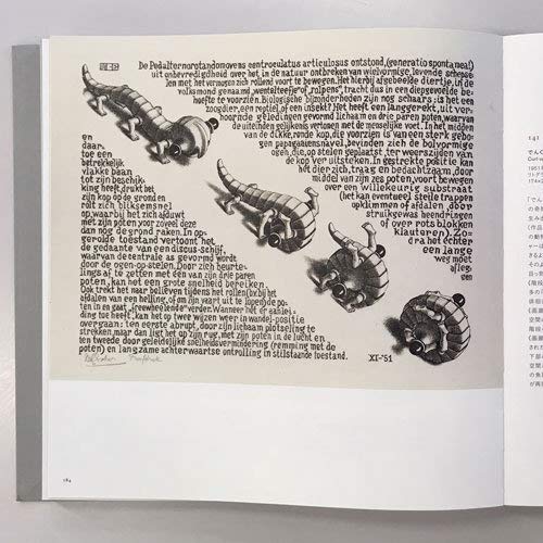 Amazon.co.jp: 生誕120年 イスラエル博物館所蔵 ミラクル エッシャー展