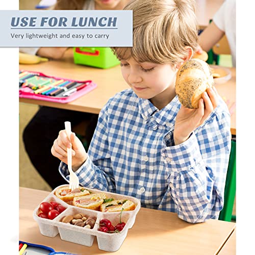 12 Pack Kids Bento Lunch Boxes 4 Compartment Reusable Plastic Meal Prep Containers Divided Food Storage Containers For School Work Travel Lunch Accessory Not Leakproof, 4 Colors #TOP5