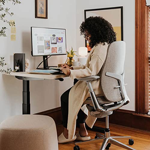 Haworth Zody Dual Posture Desk Chair - Stylish and Ergonomic for Office (Fog)