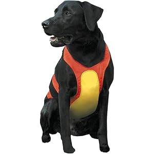 mendota skid plate orange