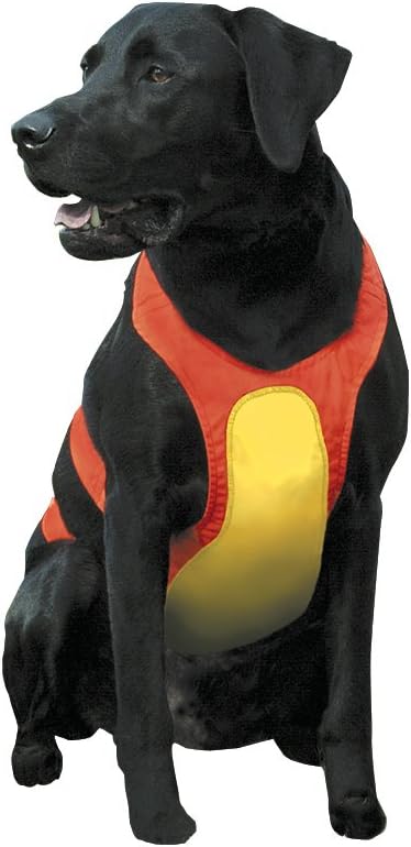 Dog chest protector Clearance