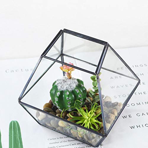 Terrariums Square Modern Artistic Clear Geometric Glass Terrarium For Home Decoration Size Small Terrariums Gardens Under Glass (Color : Black, Size : 15X15X14.5Cm) #TOP2