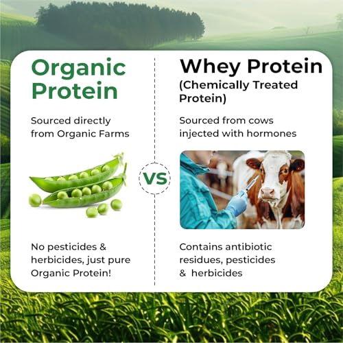 Image of Vlado's Himalayan Organics Organic protein Powder I Plant protein I 28G Protein , 5G BCAA I Made with 100% Organic Pea's I Clean & Vegan Protein I Lab Tested I Fast Absorbing, No Bloating, Easy to Digest | Faster Muscle Recovery I Unflavoured - 500 Grams