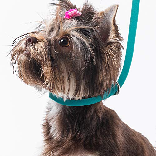 Grooming loop haut de gamme bleu roi 63,5 cm en nylon dense